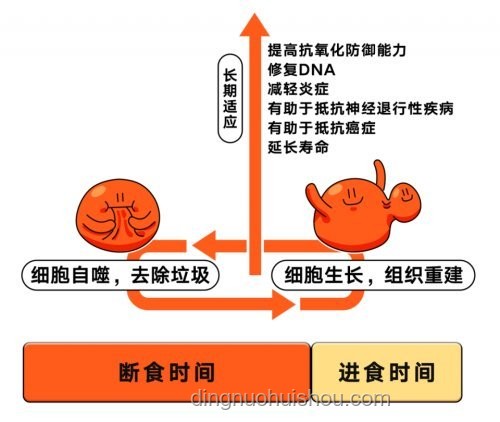 张总不吃酸的：饮食习惯与企业决策的微妙关联及市场影响分析